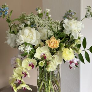 Spring Orchids
